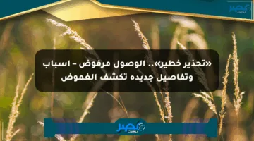 «تحذير خطير».. الوصول مرفوض – أسباب وتفاصيل جديدة تكشف الغموض